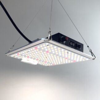 Grow Lampe CANDY LED dimmbar, 125W, 355 μmol/s