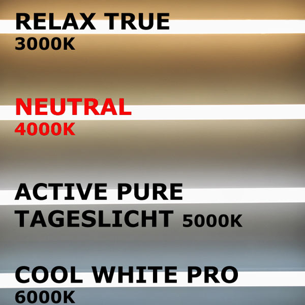 LED Büroleuchten LED Panel MAREN 120cm 50W, Neutral, PHILIPS CertaDrive